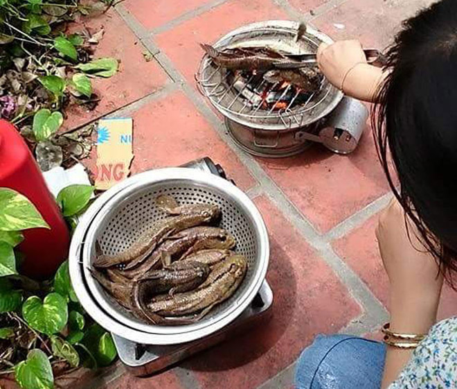 Thòi lòi biển nướng than, món cá Thòi lòi biển nướng than, món cá