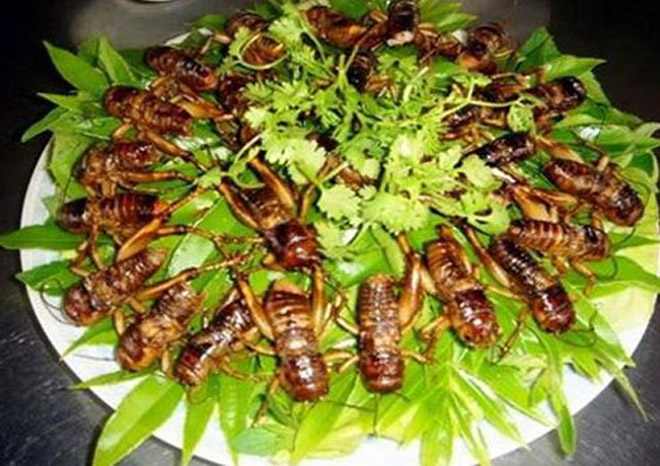 10 món ngon không thể nào quên ở vùng quê Bình Phước 10 món ngon không thể nào quên ở vùng quê Bình Phước