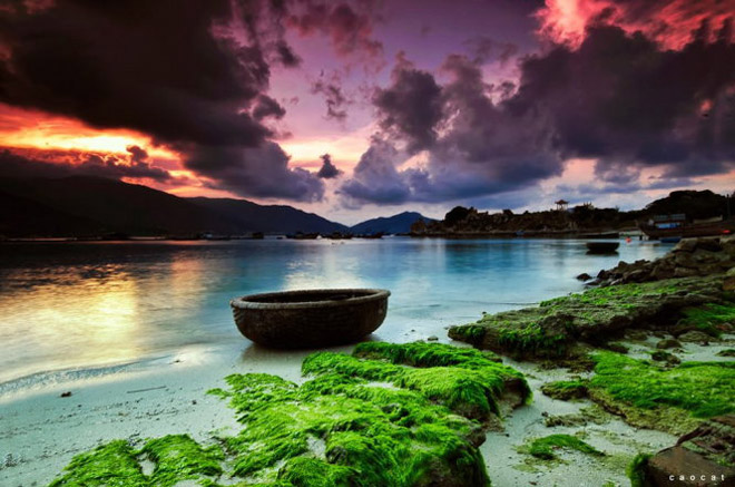 Mùa rêu đá đang hiện lên đẹp đến nghẹt thở Mùa rêu đá đang hiện lên đẹp đến nghẹt thở