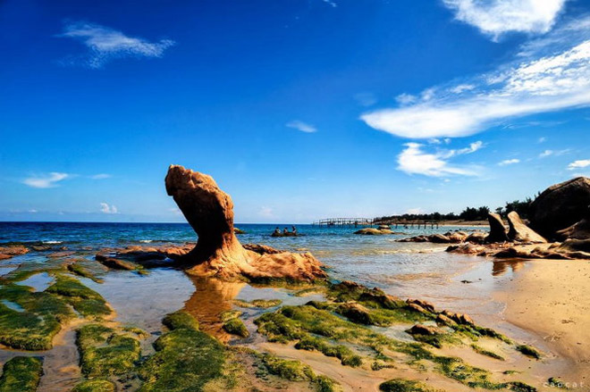 Mùa rêu đá đang hiện lên đẹp đến nghẹt thở Mùa rêu đá đang hiện lên đẹp đến nghẹt thở
