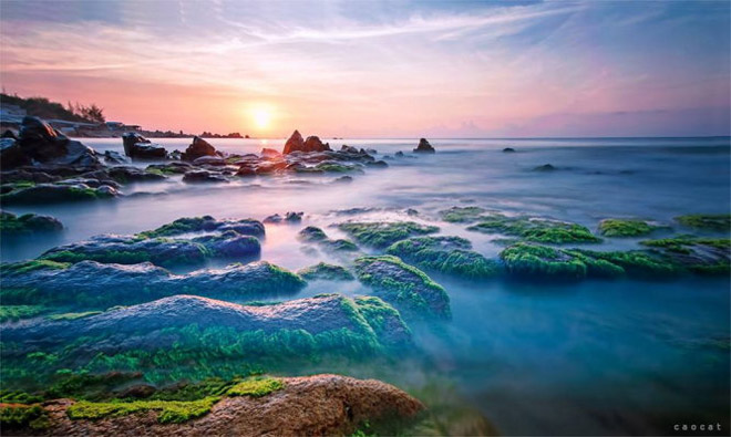 Mùa rêu đá đang hiện lên đẹp đến nghẹt thở Mùa rêu đá đang hiện lên đẹp đến nghẹt thở
