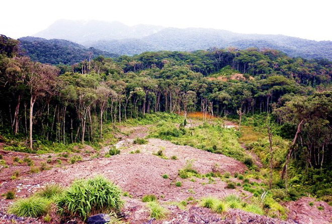 4 điểm trekking hấp dẫn nhất miền Trung 4 điểm trekking hấp dẫn nhất miền Trung