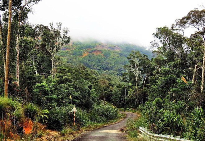 4 điểm trekking hấp dẫn nhất miền Trung 4 điểm trekking hấp dẫn nhất miền Trung