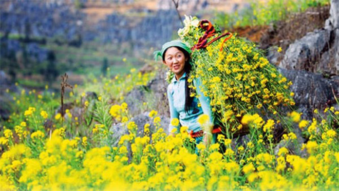 Mùa Xuân sớm trên những cung đường phượt Hà Giang