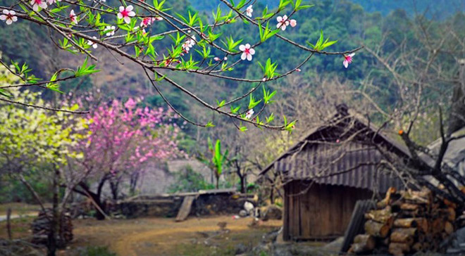Tây Bắc đẹp mơ màng Tây Bắc đẹp mơ màng
