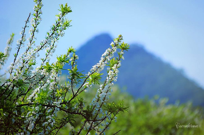 Tây Bắc đẹp mơ màng Tây Bắc đẹp mơ màng