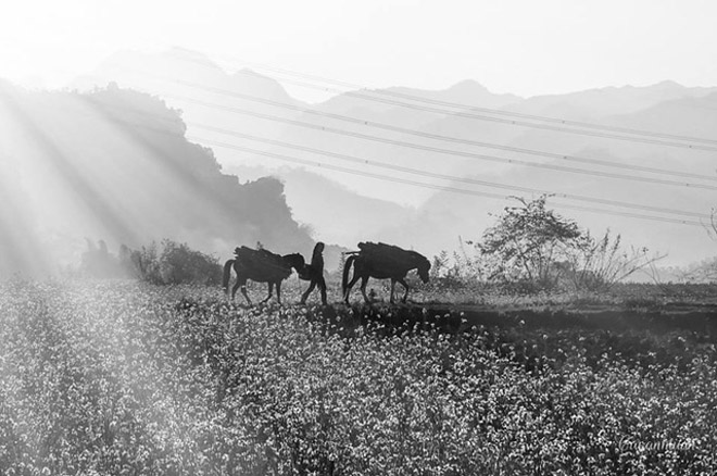 Tây Bắc đẹp mơ màng Tây Bắc đẹp mơ màng