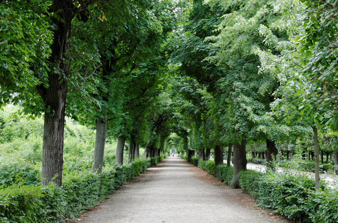 Hành trình ngắn ngày lãng mạn với Vienna Hành trình ngắn ngày lãng mạn với Vienna