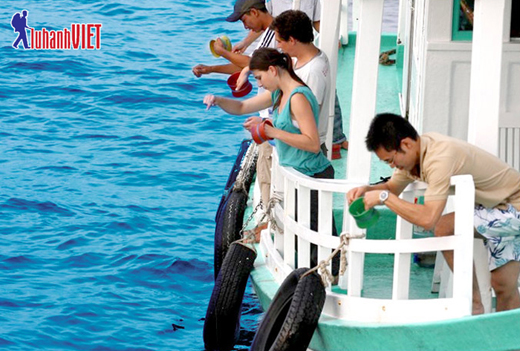 Tour Phú Quốc Vinpearl Land 3N2Đ