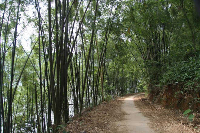 Du ngoạn giữa lòng hồ Hòa Bình Du ngoạn giữa lòng hồ Hòa Bình