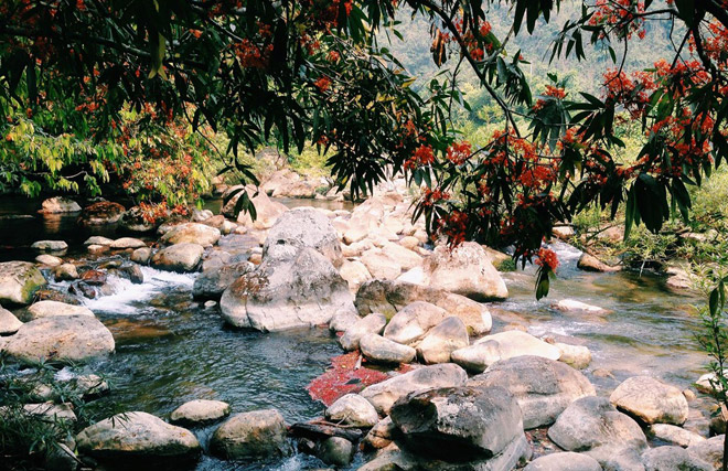 Suối Nước Moọc đẹp như tiên cảnh ở Quảng Bình Suối Nước Moọc đẹp như tiên cảnh ở Quảng Bình