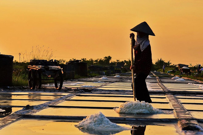 Ra cánh đồng muối chụp ảnh đẹp lung linh