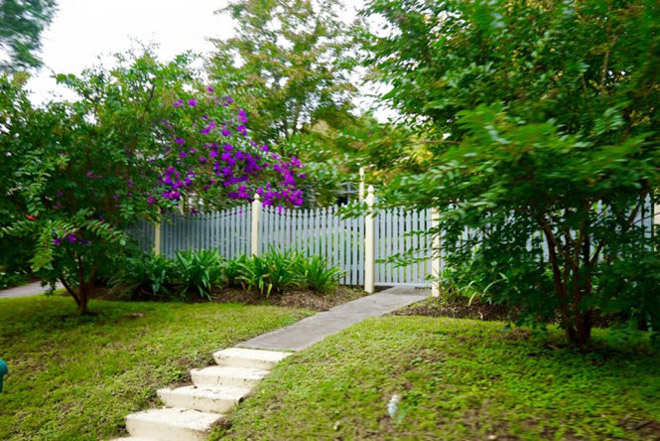 Sydney tháng 3, mùa thu tím màu tím hoa mua Sydney tháng 3, mùa thu tím màu tím hoa mua