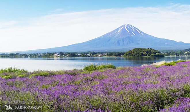 Tour Nhật Bản siêu tiết kiệm hè 2017 chỉ 21,9 triệu