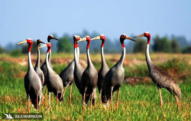 Những trải nghiệm không thể bỏ lỡ khi ghé miền Tây vào mùa nước nổi