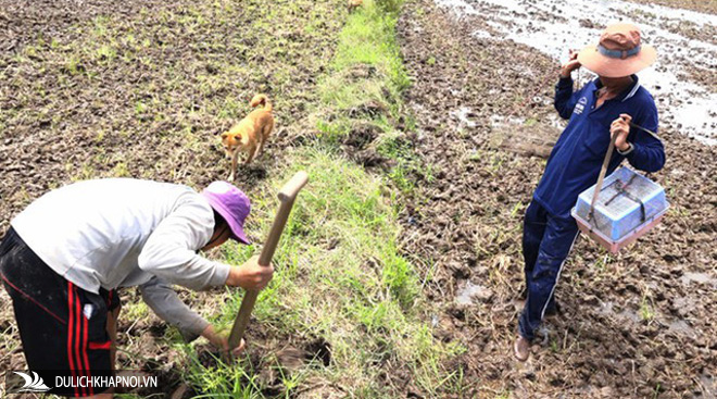 Những trải nghiệm không thể bỏ lỡ khi ghé miền Tây vào mùa nước nổi
