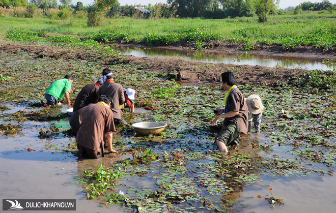 Những trải nghiệm không thể bỏ lỡ khi ghé miền Tây vào mùa nước nổi