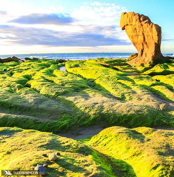 Xách balo lên và đi ngay Cổ Thạch ngắm mùa rêu xanh phủ lên đá - Ảnh 2 Xách balo lên và đi ngay Cổ Thạch ngắm mùa rêu xanh phủ lên đá