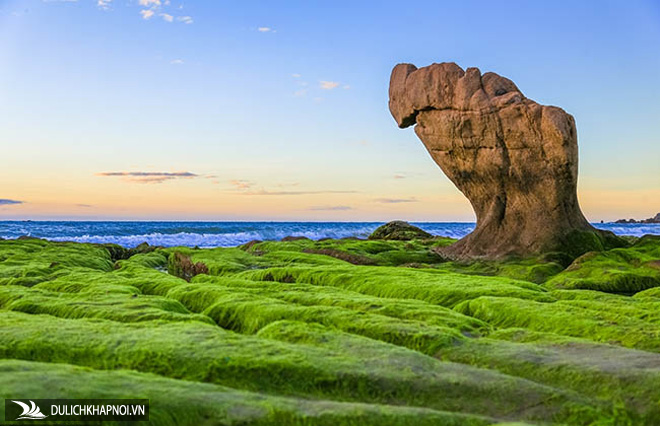 Xách balo lên và đi ngay Cổ Thạch ngắm mùa rêu xanh phủ lên đá - Ảnh 4 Xách balo lên và đi ngay Cổ Thạch ngắm mùa rêu xanh phủ lên đá