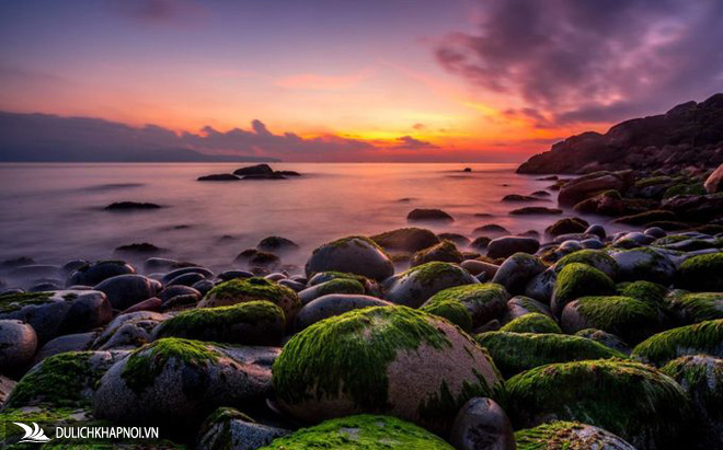 8 điểm du lịch nổi tiếng nhất Quy Nhơn - Ảnh 3 8 điểm du lịch nổi tiếng nhất Quy Nhơn