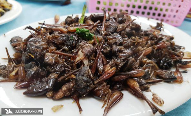Những món đặc sản nhiều người nhìn đã "sởn da gà" ở Ninh Bình - Ảnh 8 Những món đặc sản nhiều người nhìn đã "sởn da gà" ở Ninh Bình