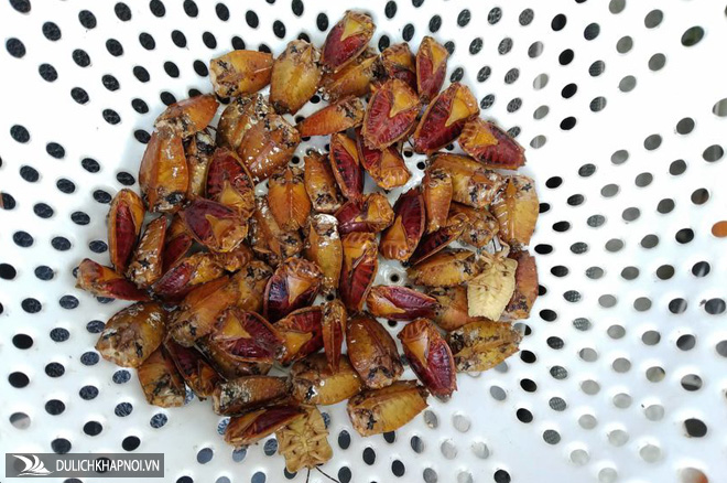 Những món đặc sản nhiều người nhìn đã "sởn da gà" ở Ninh Bình - Ảnh 9 Những món đặc sản nhiều người nhìn đã "sởn da gà" ở Ninh Bình