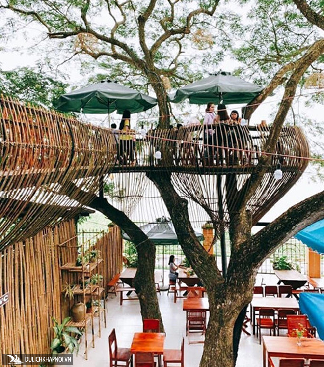 Quán cà phê mát rượi, lơ lửng trên cây ở Cần Thơ thu hút giới trẻ - Ảnh 1 Quán cà phê mát rượi, lơ lửng trên cây ở Cần Thơ thu hút giới trẻ