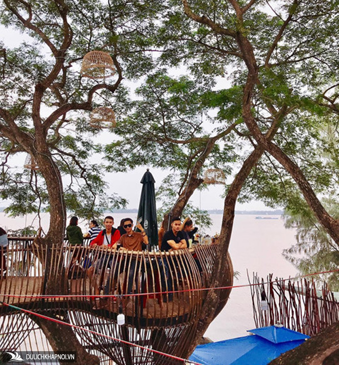 Quán cà phê mát rượi, lơ lửng trên cây ở Cần Thơ thu hút giới trẻ - Ảnh 2 Quán cà phê mát rượi, lơ lửng trên cây ở Cần Thơ thu hút giới trẻ