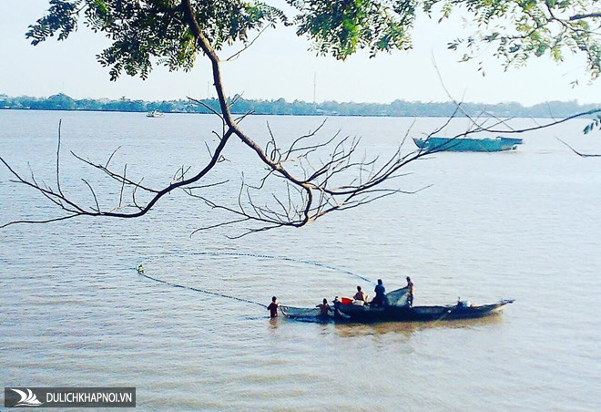Quán cà phê mát rượi, lơ lửng trên cây ở Cần Thơ thu hút giới trẻ - Ảnh 8 Quán cà phê mát rượi, lơ lửng trên cây ở Cần Thơ thu hút giới trẻ