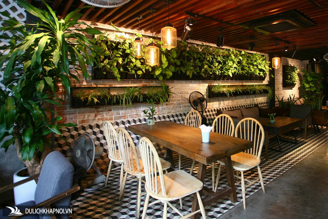 Quán cà phê xanh trong căn biệt thự liền kề - Ảnh 3 Quán cà phê xanh trong căn biệt thự liền kề