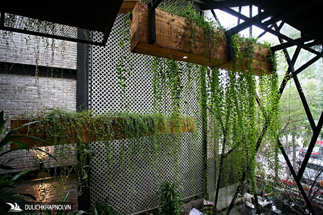 Quán cà phê xanh trong căn biệt thự liền kề - Ảnh 5 Quán cà phê xanh trong căn biệt thự liền kề