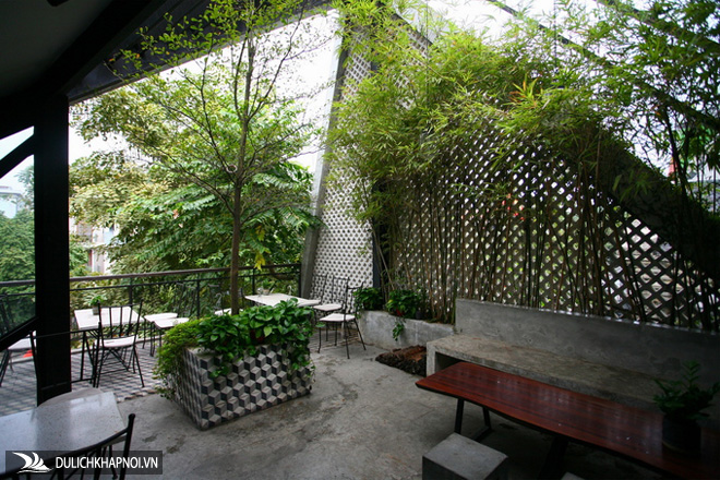 Quán cà phê xanh trong căn biệt thự liền kề - Ảnh 7 Quán cà phê xanh trong căn biệt thự liền kề