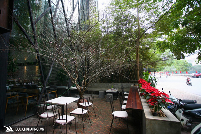 Quán cà phê xanh trong căn biệt thự liền kề - Ảnh 9 Quán cà phê xanh trong căn biệt thự liền kề