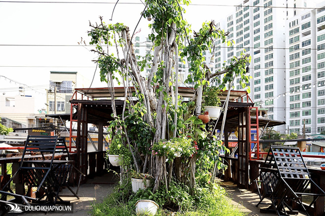 Quán cà phê lênh đênh - Ảnh 5 Quán cà phê lênh đênh