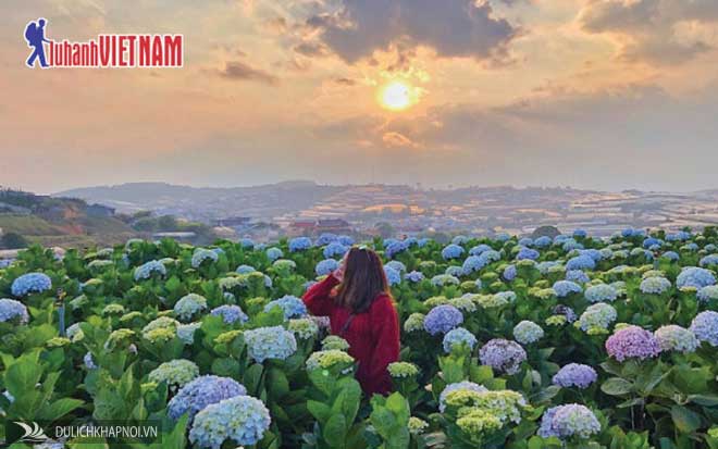 Tour nội địa ưu đãi tới 50%, nhà nhà đi du lịch - Ảnh 3 Tour nội địa ưu đãi tới 50%, nhà nhà đi du lịch - Ảnh 3