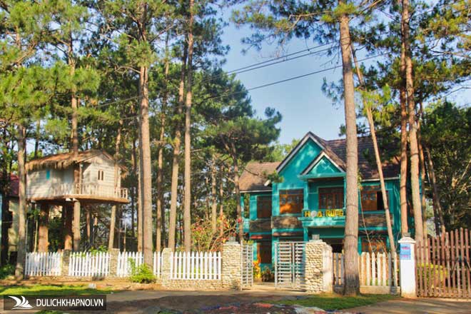 Khám phá Kon Tum: Vùng đất Tây Nguyên đặc sắc - Ảnh 9 Khám phá Kon Tum: Vùng đất Tây Nguyên đặc sắc