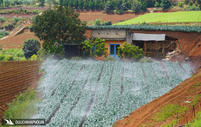 Khám phá 'rìa Đà Lạt' - Ảnh 4 Khám phá 'rìa Đà Lạt'