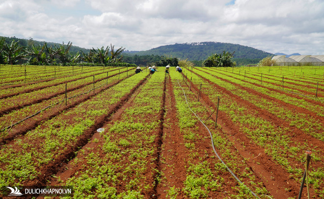 Khám phá 'rìa Đà Lạt' - Ảnh 7 Khám phá 'rìa Đà Lạt'