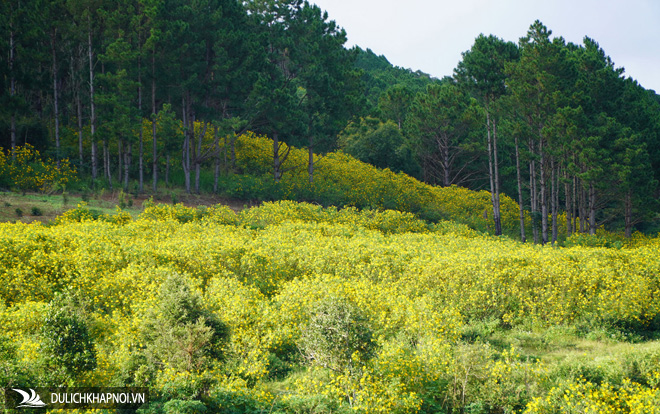 Khám phá 'rìa Đà Lạt' - Ảnh 8 Khám phá 'rìa Đà Lạt'