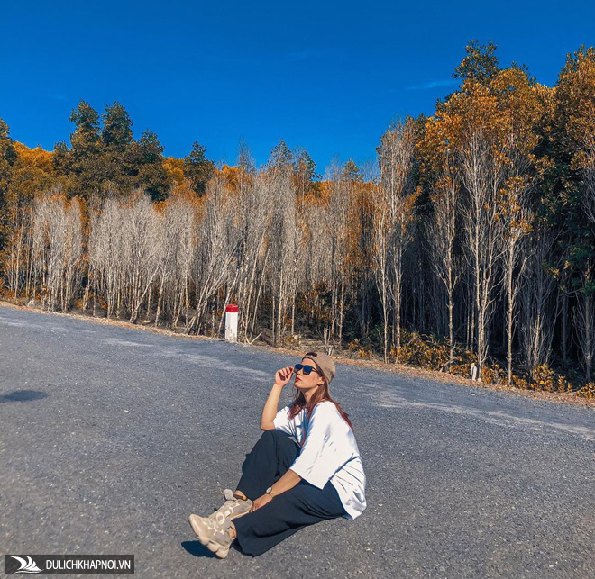 Các điểm du lịch gần TP.HCM dịp Tết Dương lịch - Ảnh 8 Các điểm du lịch gần TP.HCM dịp Tết Dương lịch