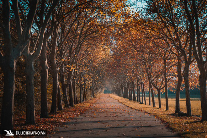 Choáng ngợp cảnh sắc đẹp như phim mùa cây thay lá ở Pháp - Ảnh 1 Choáng ngợp cảnh sắc đẹp như phim mùa cây thay lá ở Pháp