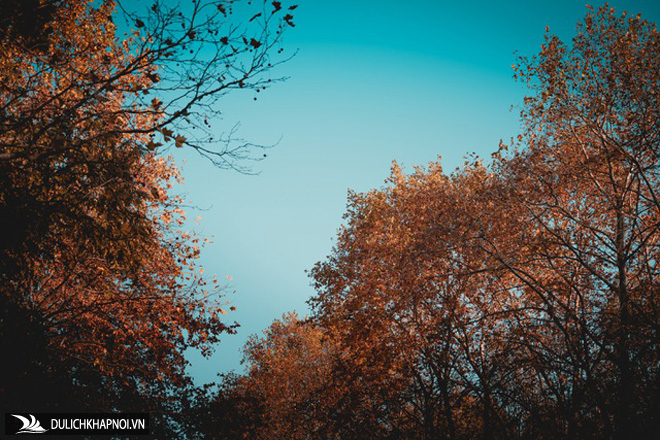 Choáng ngợp cảnh sắc đẹp như phim mùa cây thay lá ở Pháp - Ảnh 10 Choáng ngợp cảnh sắc đẹp như phim mùa cây thay lá ở Pháp