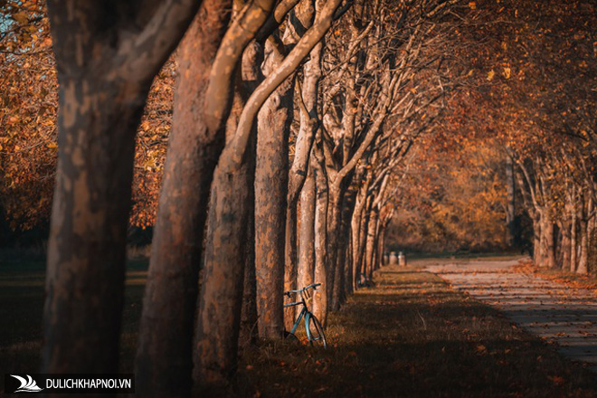 Choáng ngợp cảnh sắc đẹp như phim mùa cây thay lá ở Pháp - Ảnh 2 Choáng ngợp cảnh sắc đẹp như phim mùa cây thay lá ở Pháp