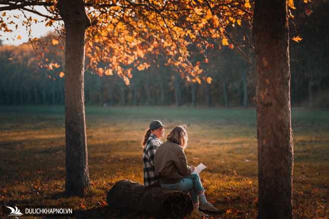 Choáng ngợp cảnh sắc đẹp như phim mùa cây thay lá ở Pháp - Ảnh 3 Choáng ngợp cảnh sắc đẹp như phim mùa cây thay lá ở Pháp