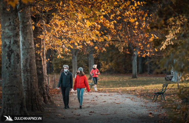 Choáng ngợp cảnh sắc đẹp như phim mùa cây thay lá ở Pháp - Ảnh 4 Choáng ngợp cảnh sắc đẹp như phim mùa cây thay lá ở Pháp