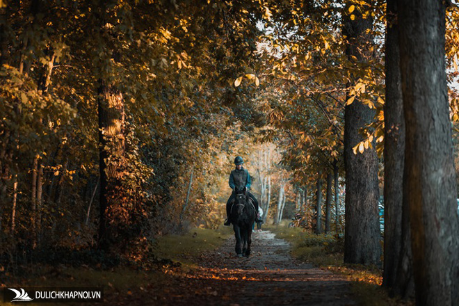 Choáng ngợp cảnh sắc đẹp như phim mùa cây thay lá ở Pháp - Ảnh 5 Choáng ngợp cảnh sắc đẹp như phim mùa cây thay lá ở Pháp