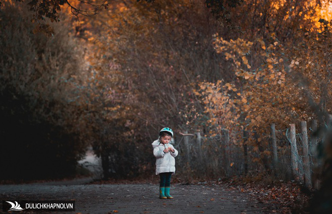 Choáng ngợp cảnh sắc đẹp như phim mùa cây thay lá ở Pháp - Ảnh 6 Choáng ngợp cảnh sắc đẹp như phim mùa cây thay lá ở Pháp