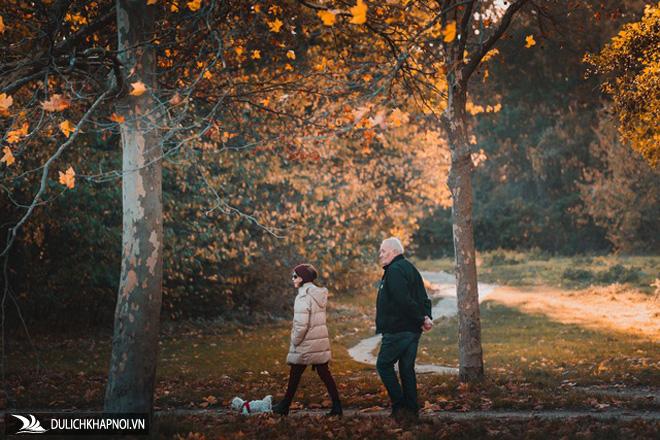 Choáng ngợp cảnh sắc đẹp như phim mùa cây thay lá ở Pháp - Ảnh 7 Choáng ngợp cảnh sắc đẹp như phim mùa cây thay lá ở Pháp