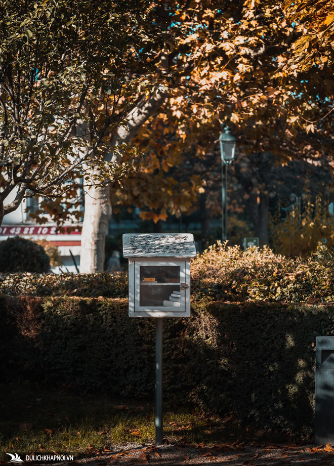 Choáng ngợp cảnh sắc đẹp như phim mùa cây thay lá ở Pháp - Ảnh 9 Choáng ngợp cảnh sắc đẹp như phim mùa cây thay lá ở Pháp