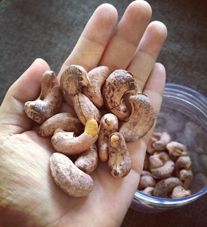 Những đặc sản tuyệt ngon tại mảnh đất Bình Phước - Ảnh 1 Những đặc sản tuyệt ngon tại mảnh đất Bình Phước